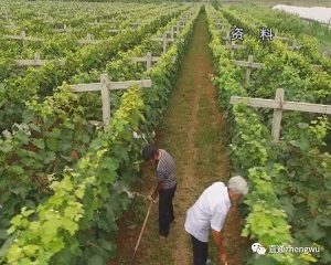 6f555595d27ac9c2792ee346f4070c3b.jpg